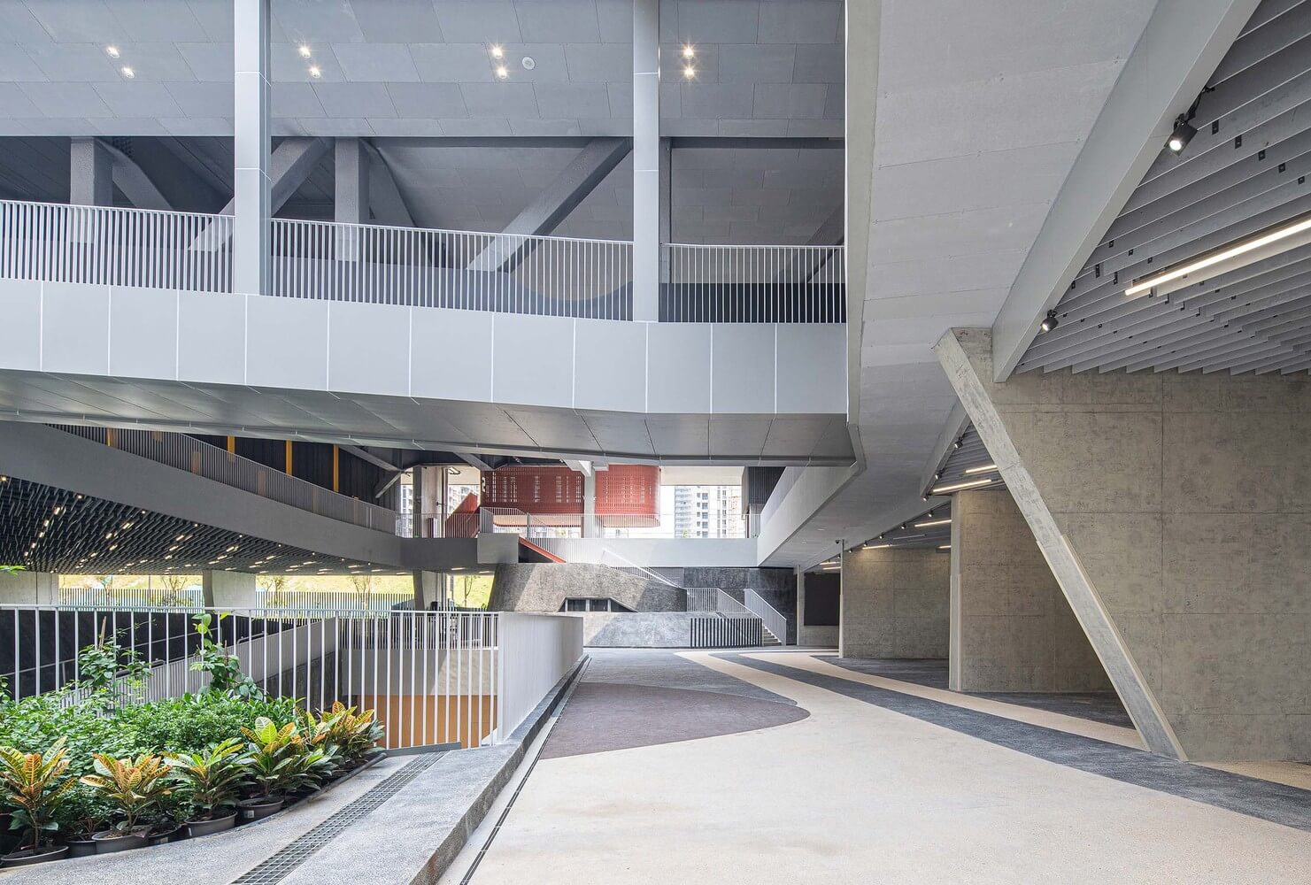 深圳红岭实验小学，源计划建筑师事务所，源计划，小学设计，教育空间设计